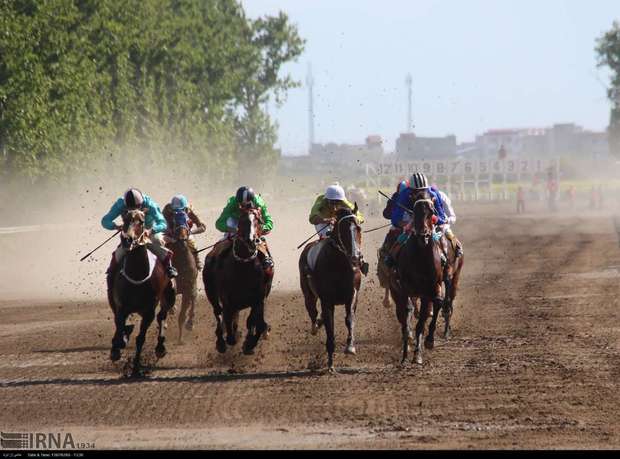هفته دوم کورس تابستانه سوارکاری بندرترکمن برگزار شد