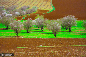 منتخب تصاویر امروز جهان- 5 اردیبهشت 1400