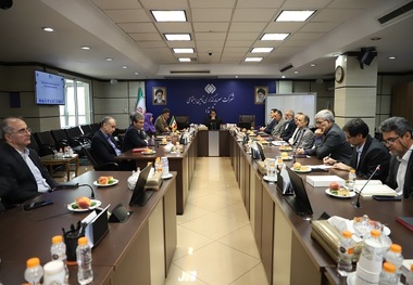 دیدار مدیرعامل شستا با مدیرکل همکاری‌های اقتصادی وزارت خارجه و برخی سفرای ایران