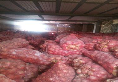 کشف 360 تن پیاز احتکار شده در  بجنورد