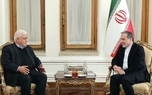 دیدار رئیس حشدالشعبی با وزیر خارجه ایران/ عراقچی: ما همواره در کنار برادران خود در مقاومت عراق و کل منطقه هستیم 