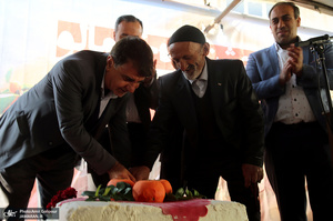 برگزاری اولین جشنواره خرمالو در روستای کشار سفلی