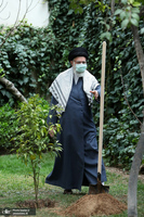 کاشت دو نهال میوه در روز درختکاری توسط رهبر معظم انقلاب