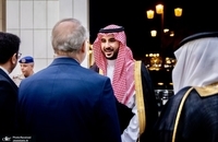 دیدار لاریجانی با خالد بن سلمان (4)