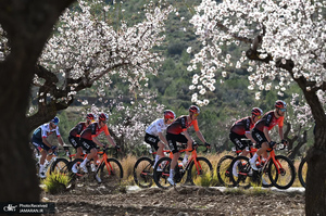 منتخب تصاویر امروز جهان - 19 و 20 بهمن 1403