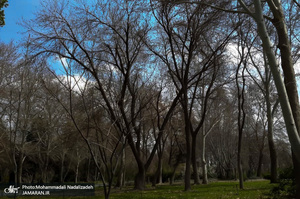 باغ گیاه شناسی ملی ایران