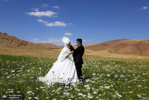 منتخب تصاویر امروز جهان- 24 مرداد