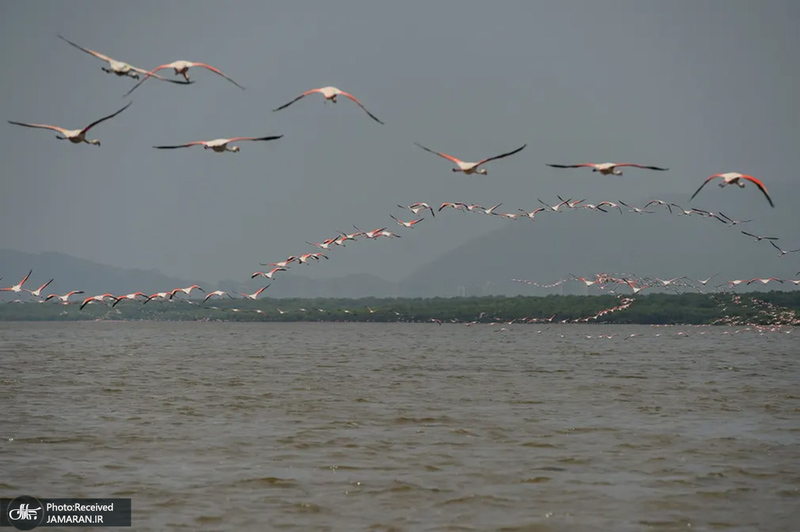 منتخب تصاویر امروز جهان - 13 اردیبهشت 1401