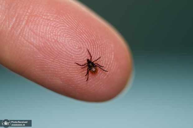 تشخیص فوری بیماری با آزمایش هوش مصنوعی