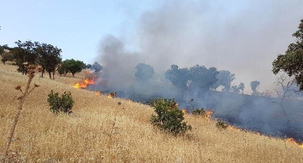 آتش سوزی در مراتع چهاردانگه کنترل شد