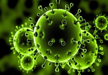 افزایش شمار مبتلایان به کرونا در گیلان