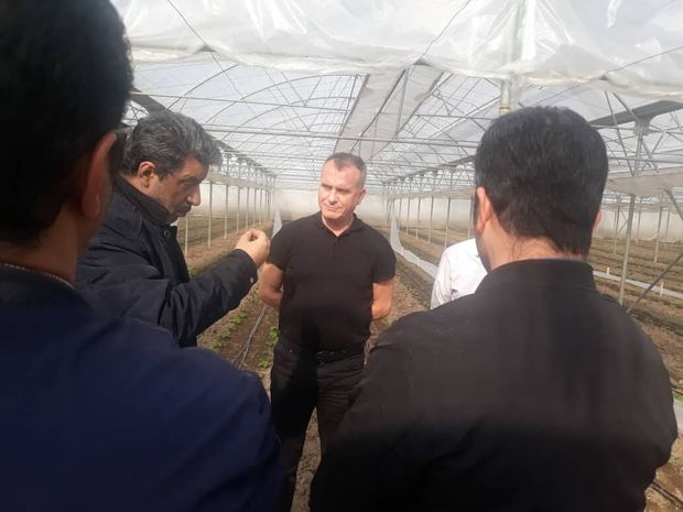 همکاری کشاورزان ورامین با محققان ترکیه