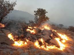 آتش‎سوزی در 50 هکتار از ارتفاعات وِزکور بخش کوهنانی