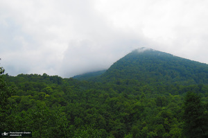 روستای جواهرده