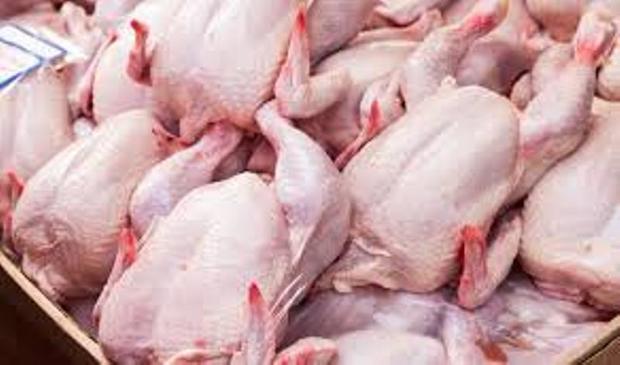قیمت مرغ در مازندران کاهشی شد
