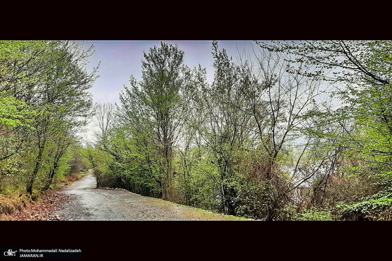 دریاچه آویدر نوشهر