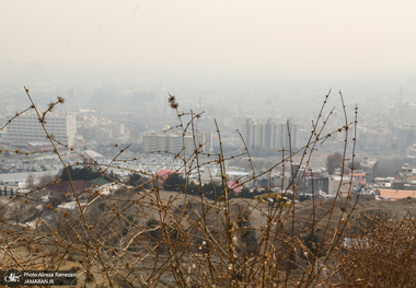 محافظت ویتامین C از سلول‌های ریه در برابر آسیب‌های آلودگی هوا
