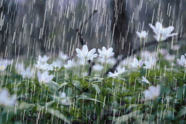 سامانه بارشی به خوزستان وارد می شود  افزایش ۶ درجه‌ای دما