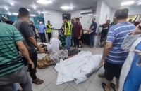 photo_2023-11-08_18-13-04