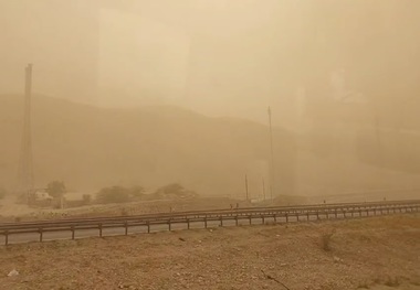 گرد و غبار استان بوشهر را تعطیل کرد + فیلم