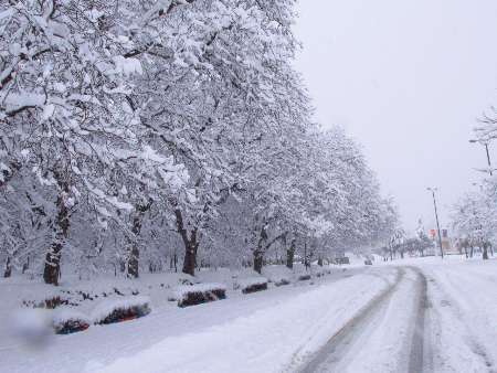 باران، برف و سرما از پنجشنبه در خراسان شمالی   کاهش 12 درجه ای دما