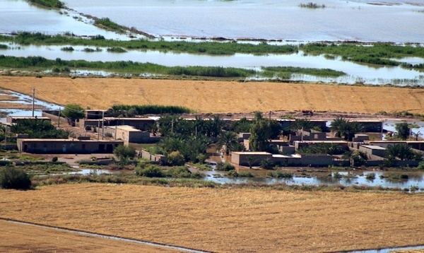 شرایط ویژه کشاورزان و دامدارن سیل زده خوزستان، در دریافت تسهیلات  خسارت ۸ هزار میلیارد تومانی سیلاب به بخش کشاورزی استان