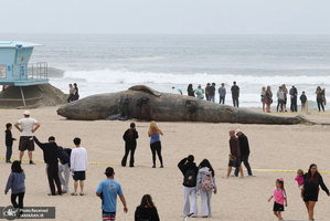 منتخب تصاویر امروز جهان - 25 فروردین 1404