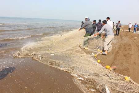 تمدیدزمان صید ماهیان استخوانی افزایش 19درصدی دسترنج ماهیگیران گلستان