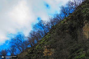 روستای سفیدآب پاوه