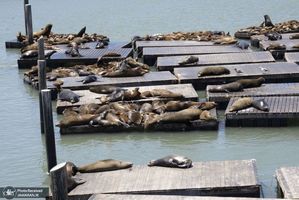 منتخب تصاویر امروز جهان- 29 خرداد