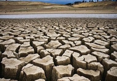 محیط‌زیست دیگر جان و رمقی ندارد