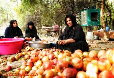 سود فرآوری انار ارگانیک مازندران در جیب استان‌های دیگر‌  ایجاد صنایع تبدیلی گامی برای کوتاه شدن دست واسطه‌ها