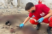 قتل عام هولناک توسط اسرائیل در اردوگاه پناهندگان فلسطینی عین الحلوه (1)