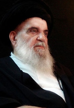 سیدمحمد عزالدین  حسینی زنجانی