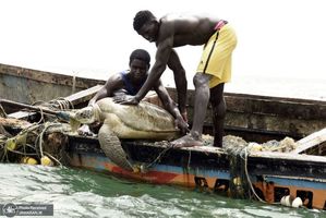 منتخب تصاویر امروز جهان- 13 تیر