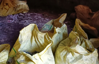 گشت با جنگل بانان برای مبارزه با قاچاق چوب و زغال