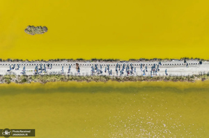 منتخب تصاویر امروز جهان - 18 فروردین 1404