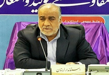 به فرش بافان یارانه تسهیلات پرداخت می شود