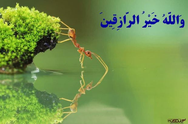 نماز افزایش رزق و روزی