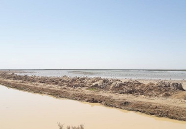 سیلاب وارد مزارع کشاورزی سه روستای شادگان شد