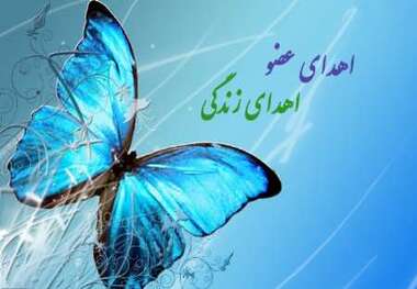 اهدای عضو در اصفهان، به یک بیمار کبدی زندگی دوباره بخشید