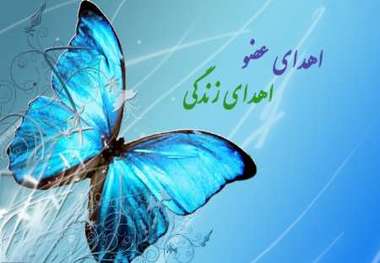 اهدای عضو در اصفهان، به یک بیمار کبدی زندگی دوباره بخشید