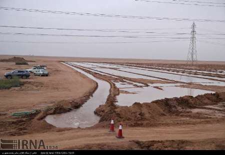 قائم مقام منابع طبیعی خوزستان: ضرورت تعیین ردیف اعتباری پایدار برای طرح مقابله با ریزگردها در خوزستان