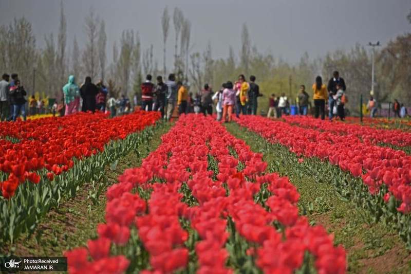 منتخب تصاویر امروز جهان - 4 فروردین 1401