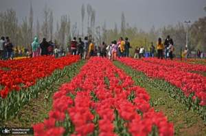 منتخب تصاویر امروز جهان - 4 فروردین 1401