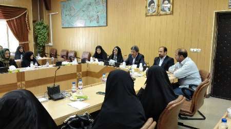 مدیرکل امور بانوان استانداری تهران از راه اندازی پایگاه اینترنتی حامی بانو خبر داد