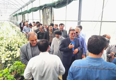 بزرگترین مجتمع گلخانه ای نیشابور به بهره برداری رسید