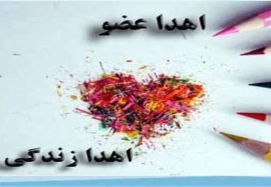 اعضای بدن 2 جوان مرگ مغزی در ارومیه به چندین بیمار در کشور جان بخشید