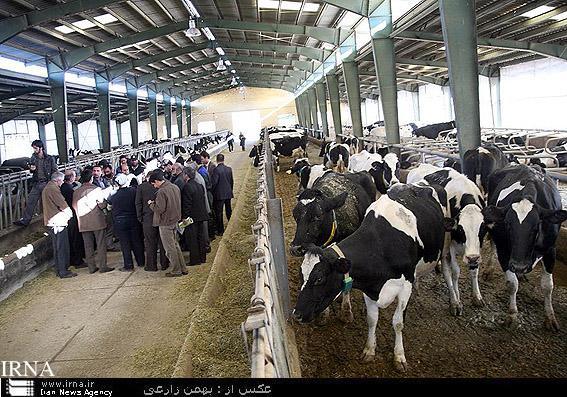 هشت طرح تولیدی در کارگروه اشتغال گیلانغرب تصویب شد