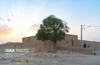 منزل استاد کمال الملک (8)